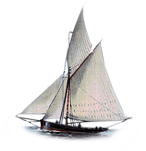 barco  vela  dubravka4 - бесплатно png