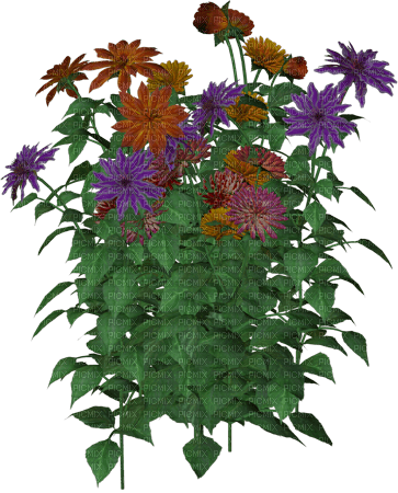 Blumen - gratis png