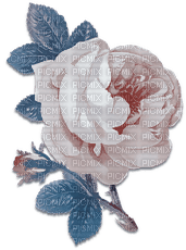 soave deco flowers rose branch vintage blue brown - безплатен png