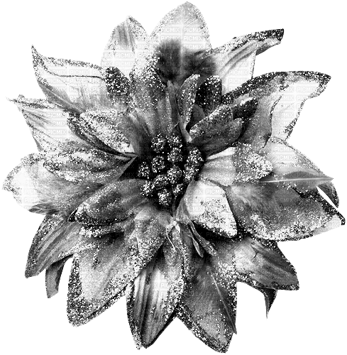 Flower.Silver - 免费PNG