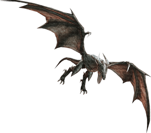 Drachen Dragon - PNG gratuit