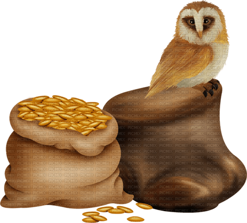 Lechuza y sacos de trigo - png gratuito