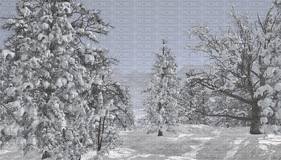 winter, maisema, landscape - zdarma png