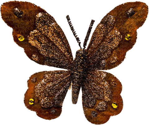 Butterfly.Papillon.Mariposa.Deco.Victoriabea - PNG gratuit