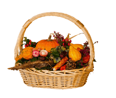 pumpkin, kurpitsa, hedelmä, fruit, vihannes, vegetable - kostenlos png