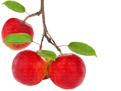 manzanas - kostenlos png