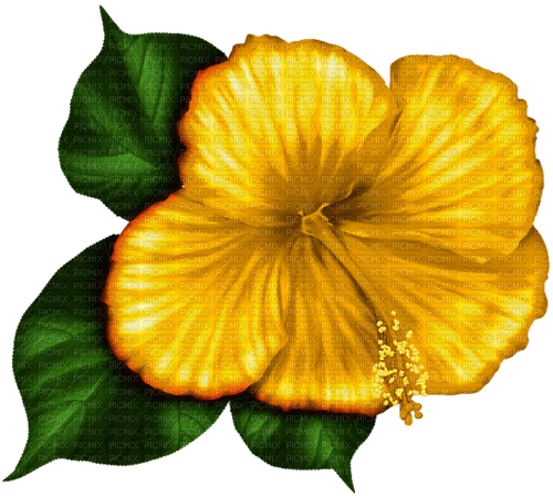 Tropical.Flower.Yellow - nemokama png