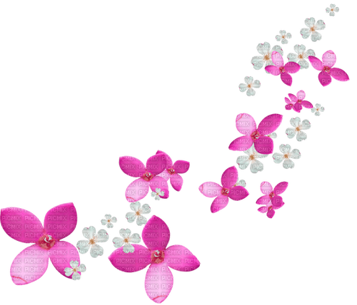 Flowers.White.Pink - png gratuito
