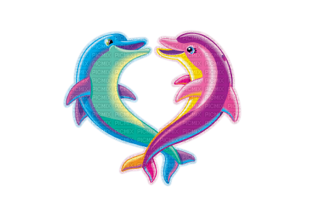 Dolphins - png ฟรี
