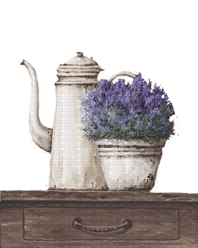 Lavendel, Kanne - ilmainen png