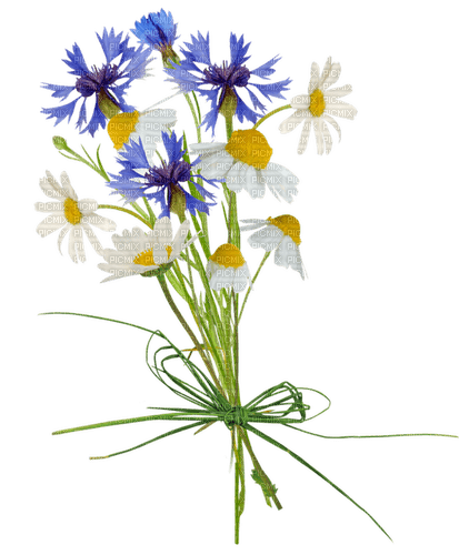 Flowers - kostenlos png