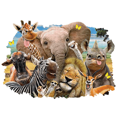 africa animals dschungel fond background image animal afrika - PNG gratuit