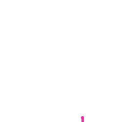 fet rose pink - GIF animado grátis