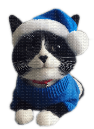 Smiling Festive Cat - PNG gratuit