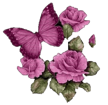 Rose N Butterfly - kostenlos png