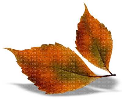 leaves - ilmainen png
