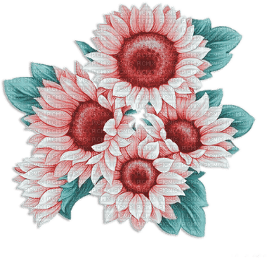 soave deco flowers sunflowers  branch  pink teal - kostenlos png