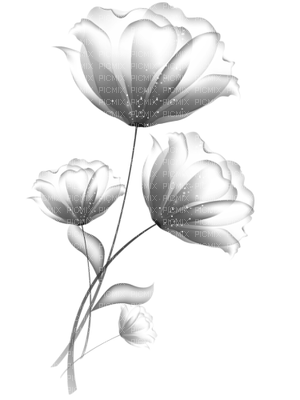 Kwiat rysunek - PNG gratuit