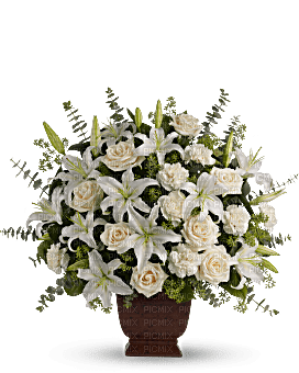 Kaz_Creations Deco Flowers Vase Colours Plant - nemokama png