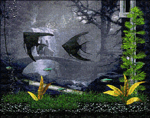 aquarium - Bezmaksas animēts GIF