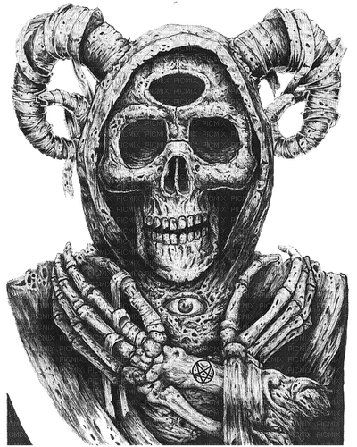 skull skeleton - zdarma png