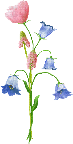 Animated.Flowers.Pink.Blue - By KittyKatLuv65 - Bezmaksas animēts GIF