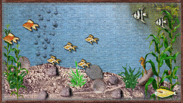 aquarium - Gratis geanimeerde GIF