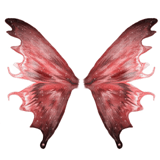 flügel wings - zadarmo png