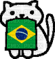 Brazil cat - безплатен png