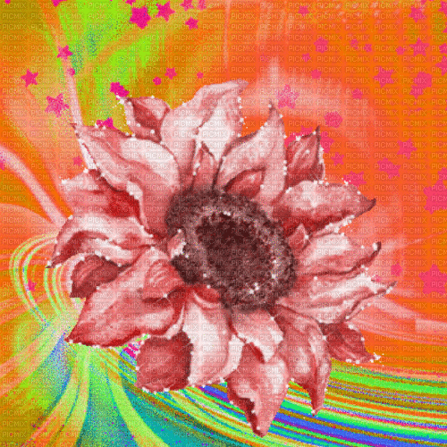 Me / background.anim.flower.orange.pinkk.idca - Darmowy animowany GIF
