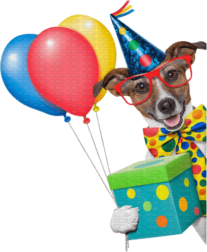 kikkapink deco scrap birthday dog - zdarma png