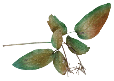 Kaz_Creations Leaves Leafs Deco - δωρεάν png