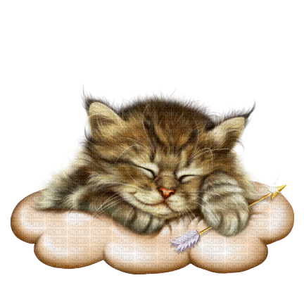 Chat Nuage Beige:) - 無料png
