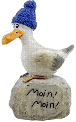 moin moin - 無料のアニメーション GIF