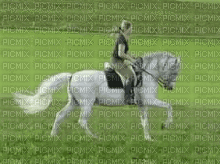 woman with horse bp - GIF animado gratis