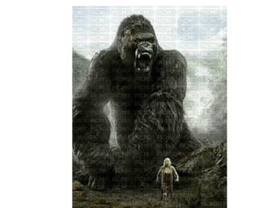 King Kong bp - zdarma png