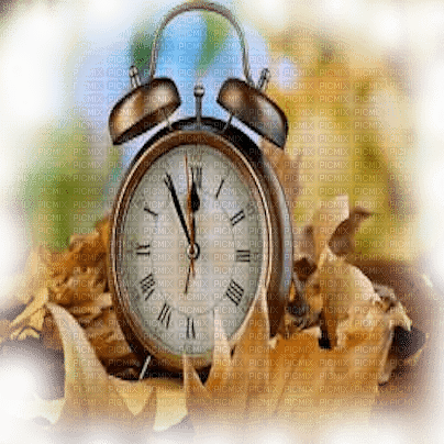 clock autumn horloge automne - png gratis