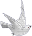 tube oiseau - PNG gratuit