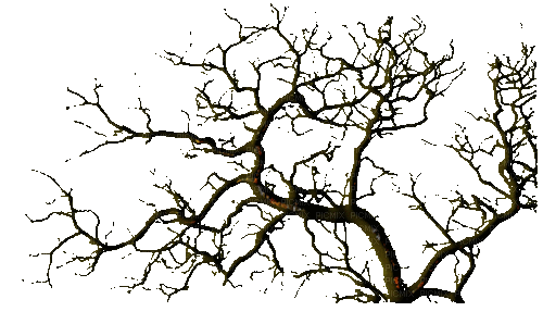tree - GIF animado grátis