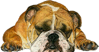 chien,dog,puppy - 無料のアニメーション GIF