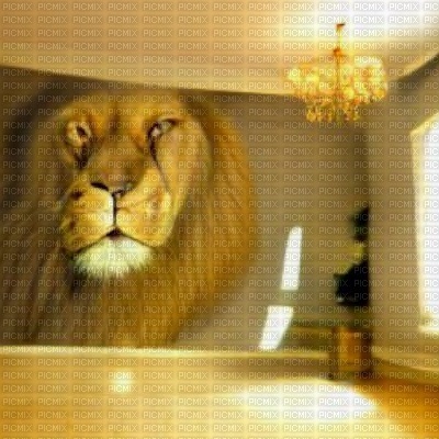 Lion Mural Background - Free PNG