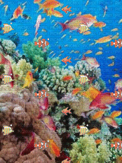 рыбки - Bezmaksas animēts GIF
