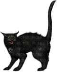 black cat - nemokama png