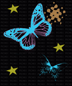 papillon stars - GIF animé gratuit