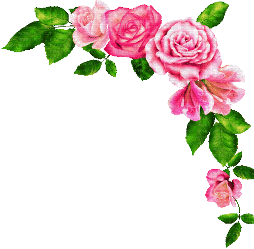 Animated.Roses.Pink - By KittyKatLuv65 - Ücretsiz animasyonlu GIF