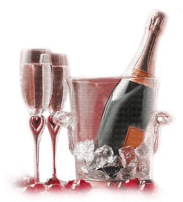 nyår-champagne-glas-flaska-deco minou52 - png gratis