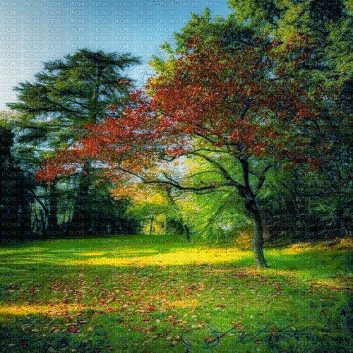 autumn background - Zdarma animovaný GIF