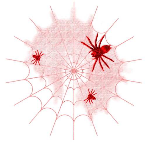 Spiders.Web.Red - kostenlos png