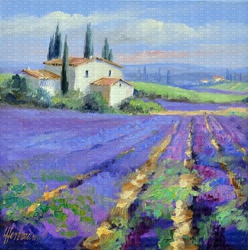 Lavender landscape French province - фрее пнг