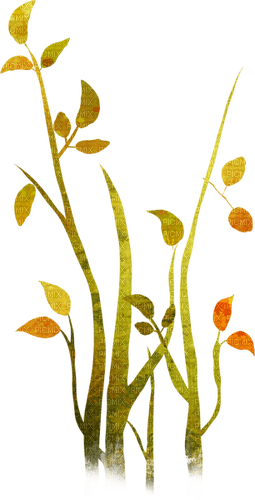 Tall grass with autumn leaves - ilmainen png